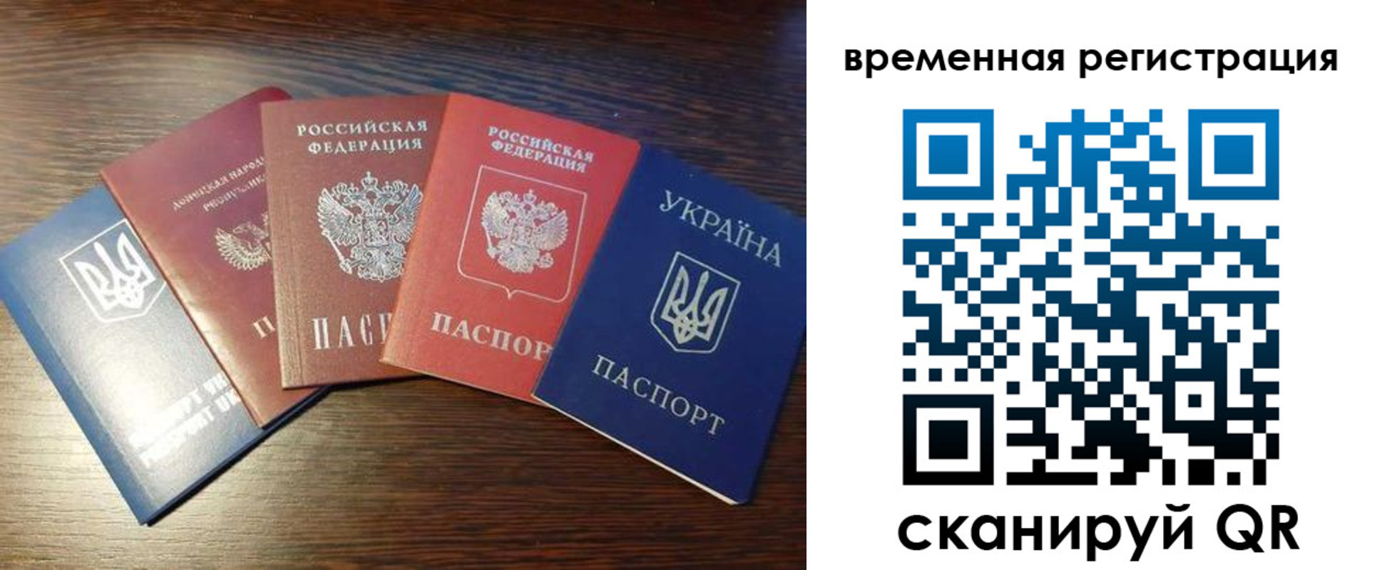 прописка гарантия в Железногорске